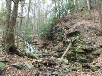 Perennial stream with waterfall